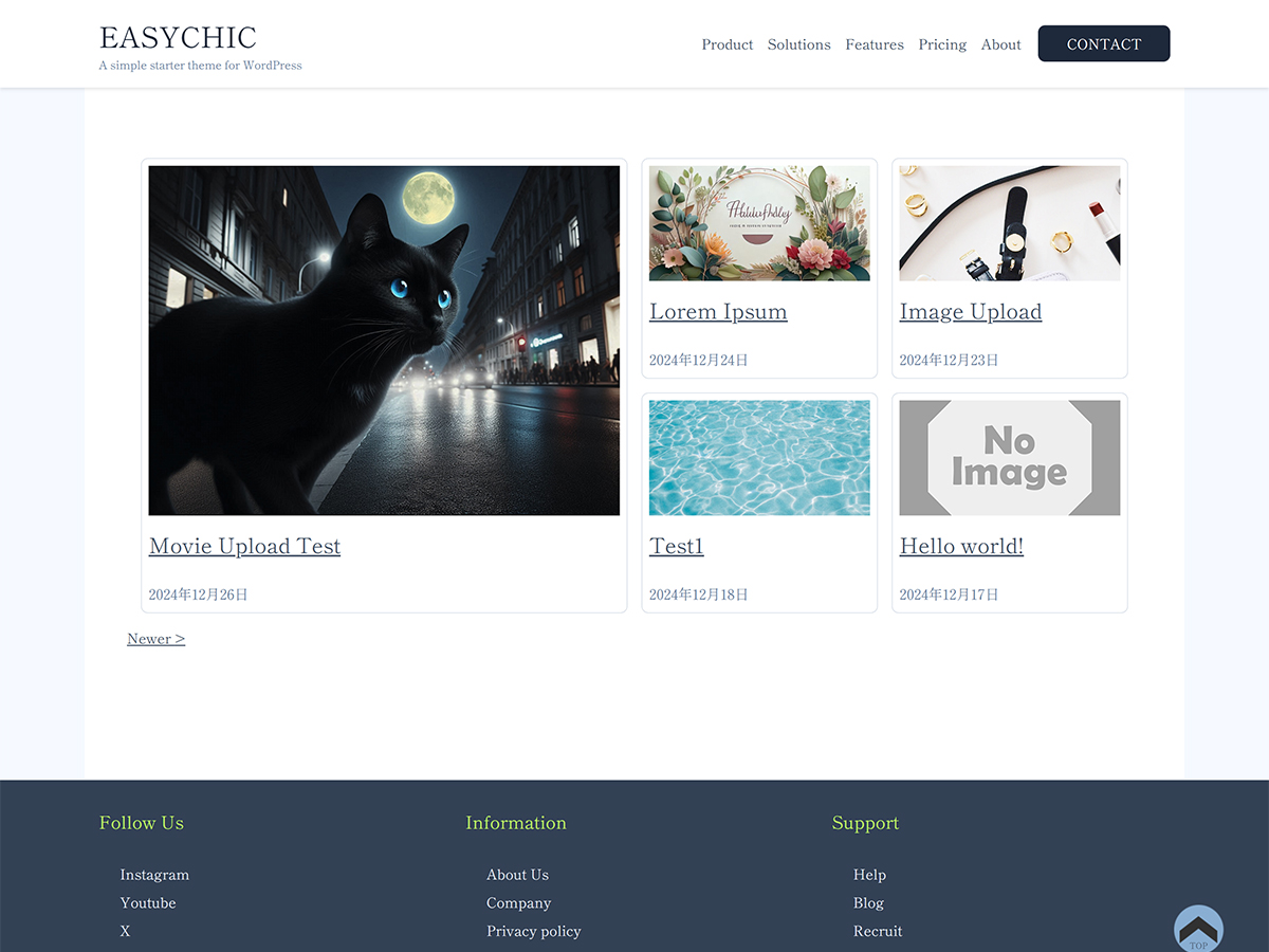 WordPress Theme Preview